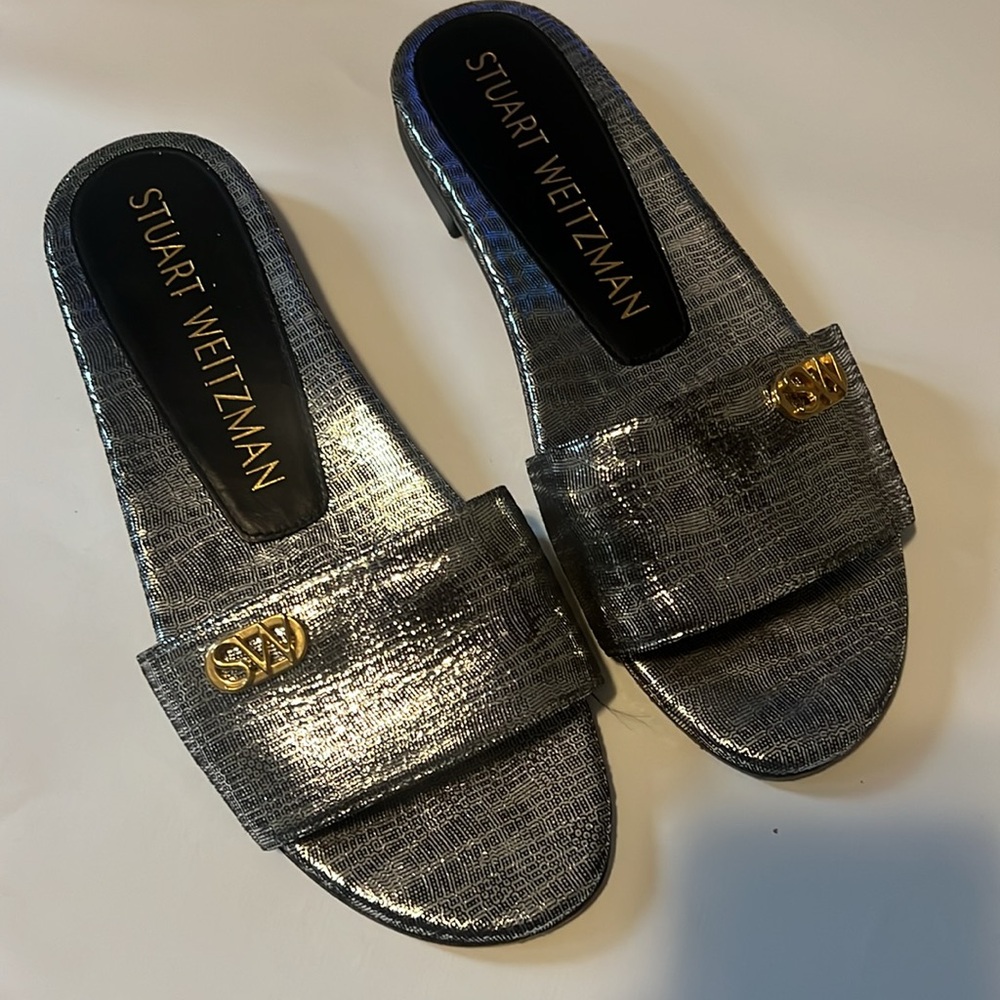 SW Silver metallic slides